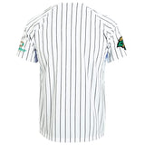 Coastal Carolina Chanticleers Under Armour Striped Replica Baseball Jersey - Sporting Up