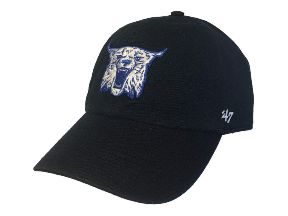 University of Delaware '47 Brand Script Cleanup Hat